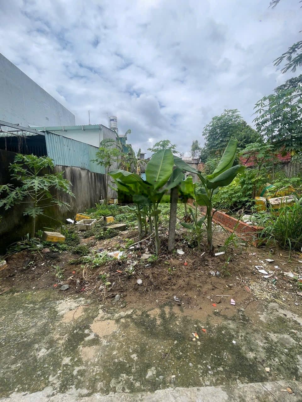 Cần bán lô đất Đ26 Nguyễn Xiển kế bên Vinhomes 79.9m2 KDC hiện hữu ngang 5m giá 3tỷ rẻ nhất Kv này