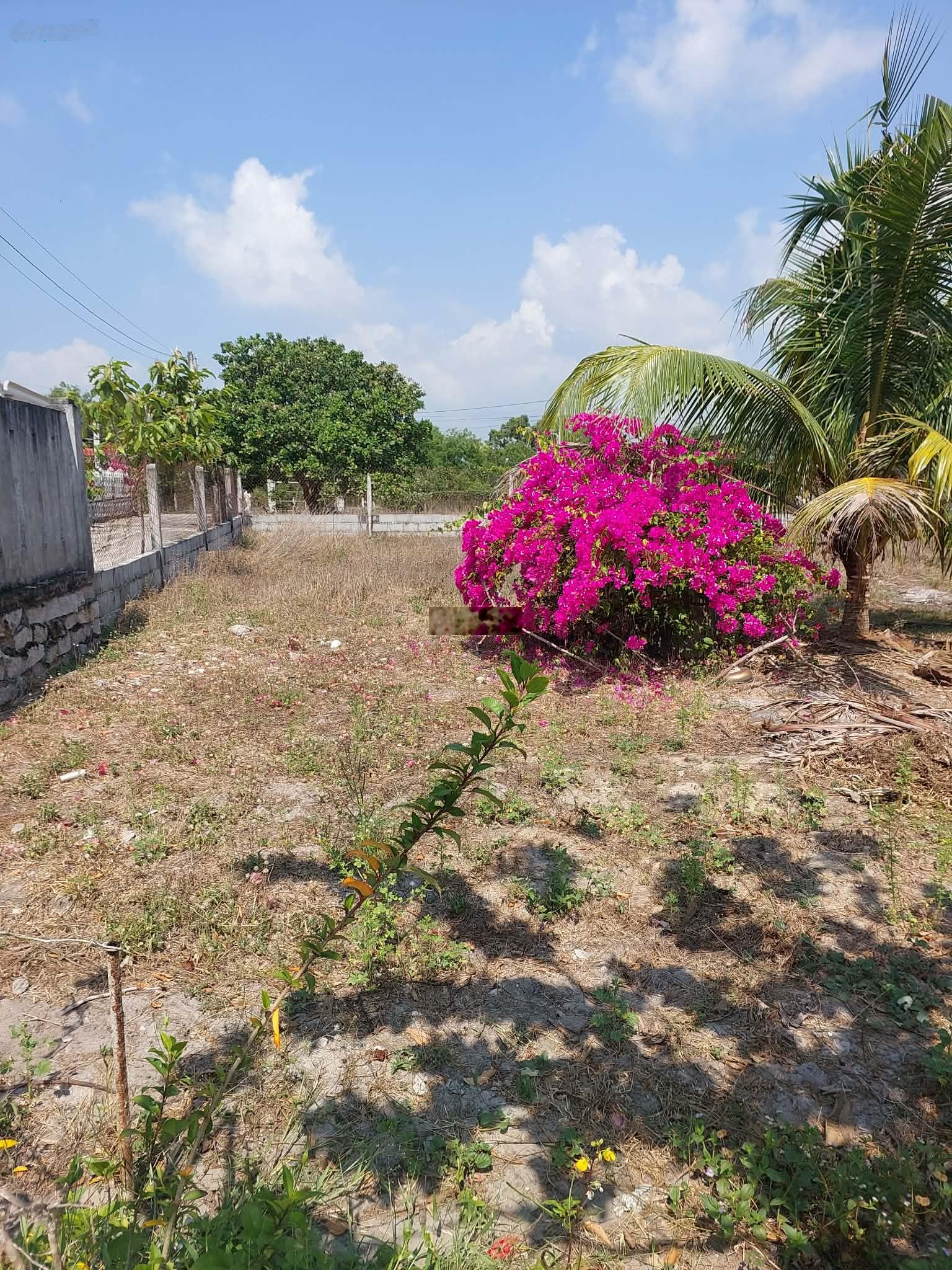 Bán đất hẻm xe hơi Lê Minh Công, 529 m² (Thổ cư 100m²), pháp lý đầy đủ, giá 4.5 tỷ