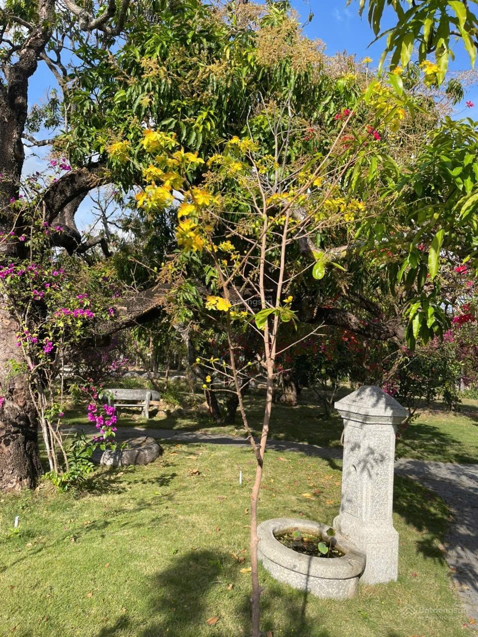 Sở hữu ngay "Làng du lịch" thu nhỏ 6420m2: Có suối, đường ô tô, thế đất tựa sơn hướng thủy