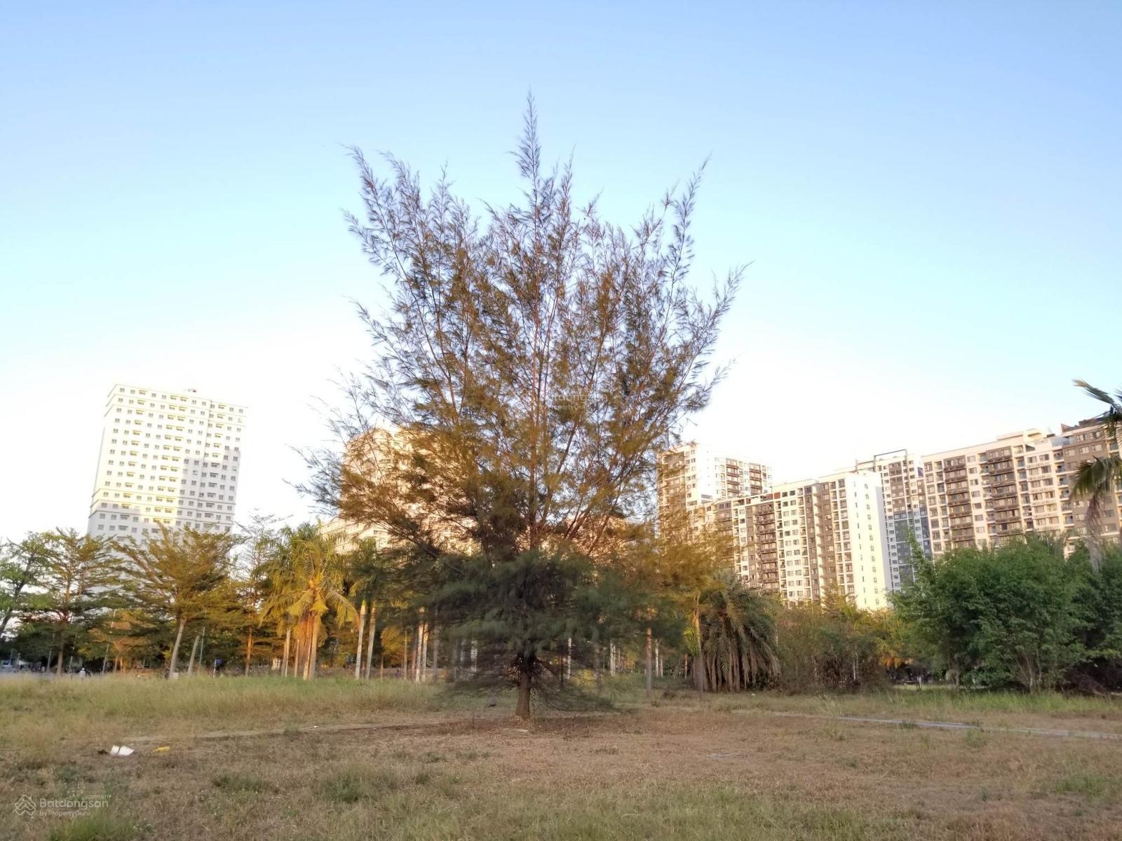 Cần share phòng Master trong chung cư Đức Khải, Quận 2 (đối diện Newcity) cho nam nữ đều được