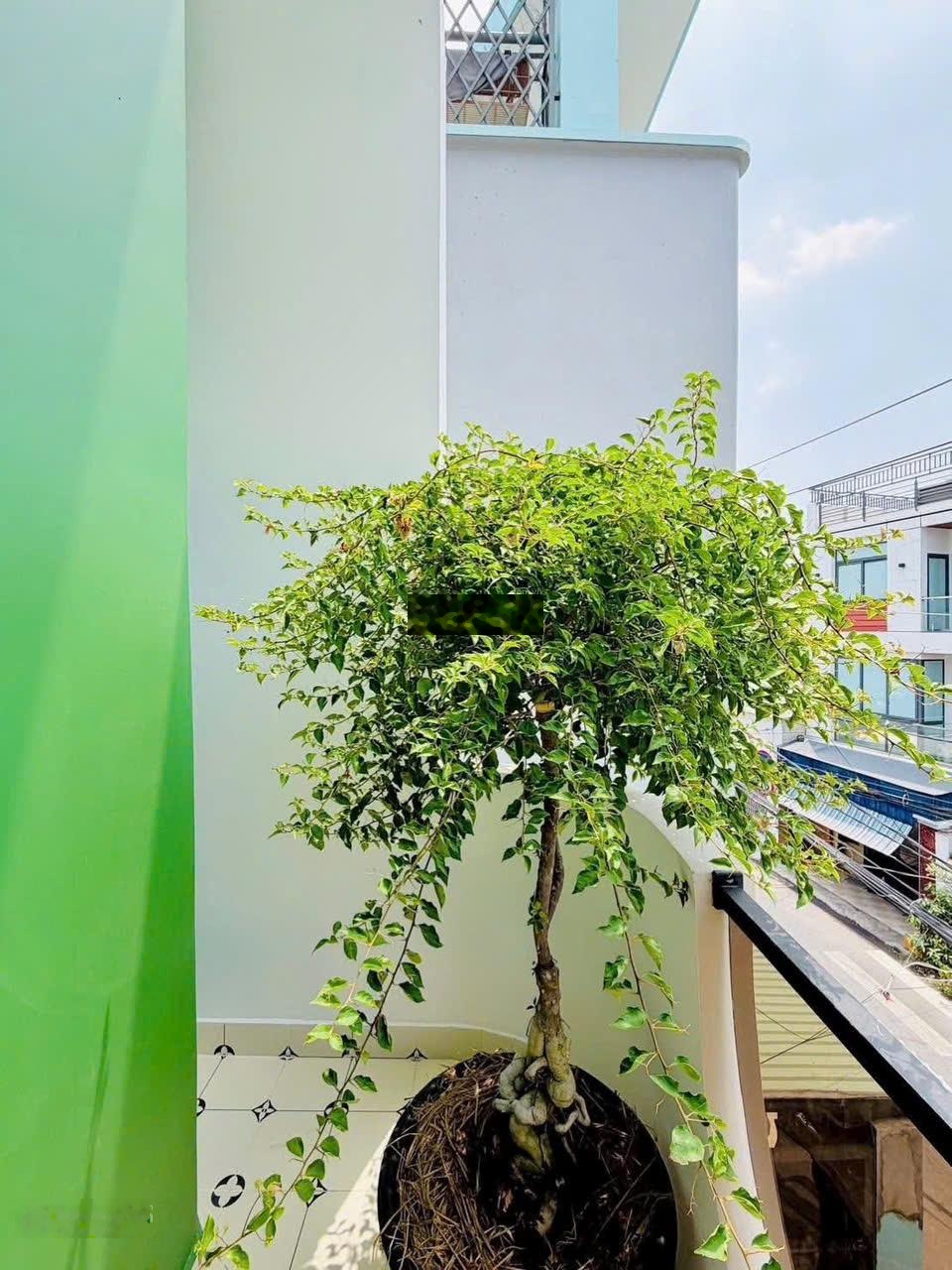 Siêu phẩm nhà Tô Hiến Thành Q.10. Giá: 6,5 tỷ. DT:64m2. 4 Tầng. 3PN 3WC. Sổ Hồng Riêng