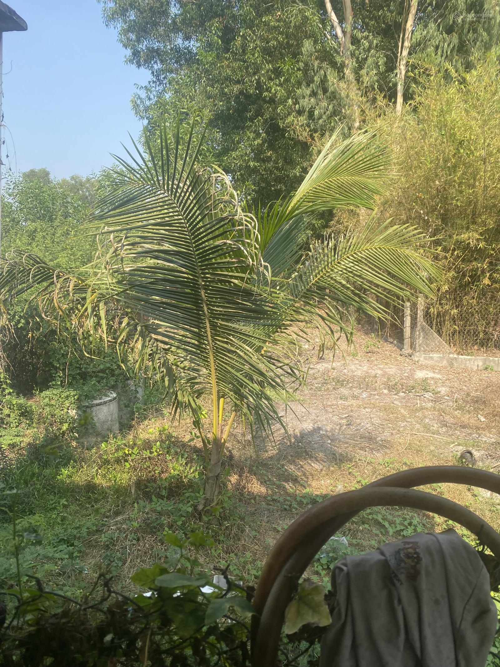 Chính chủ cần bán lô đất có diện tích rộng rãi.