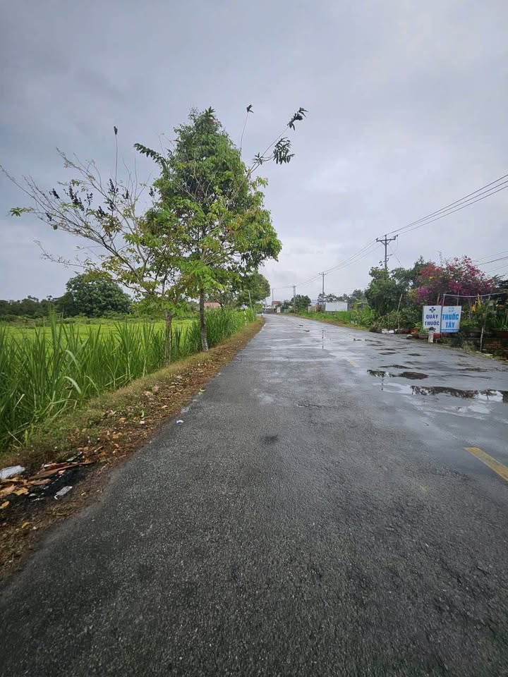 Bán đất huyện Châu Thành, tỉnh Bến Tre, giá 6,3 tỷ