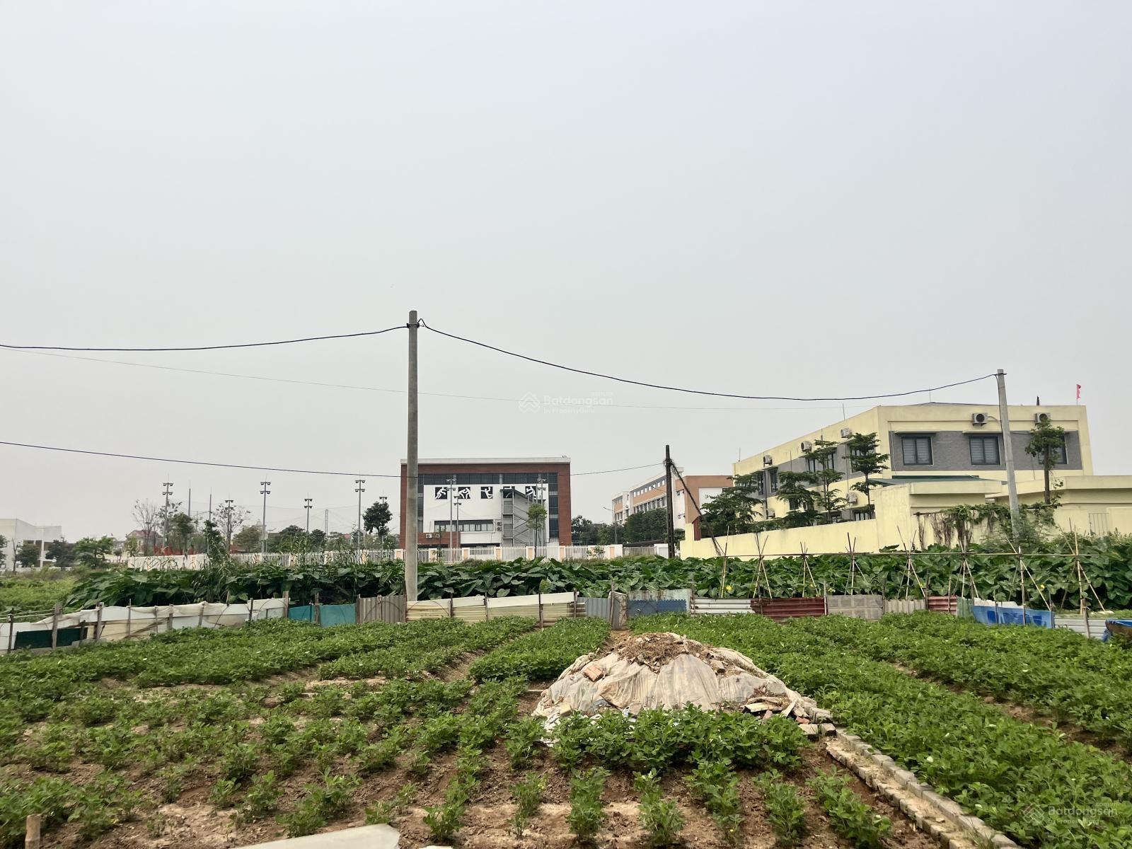 Bán đất đấu giá x6 tiên kha-phúc thịnh -80m2 -giá 9,6 tỷ