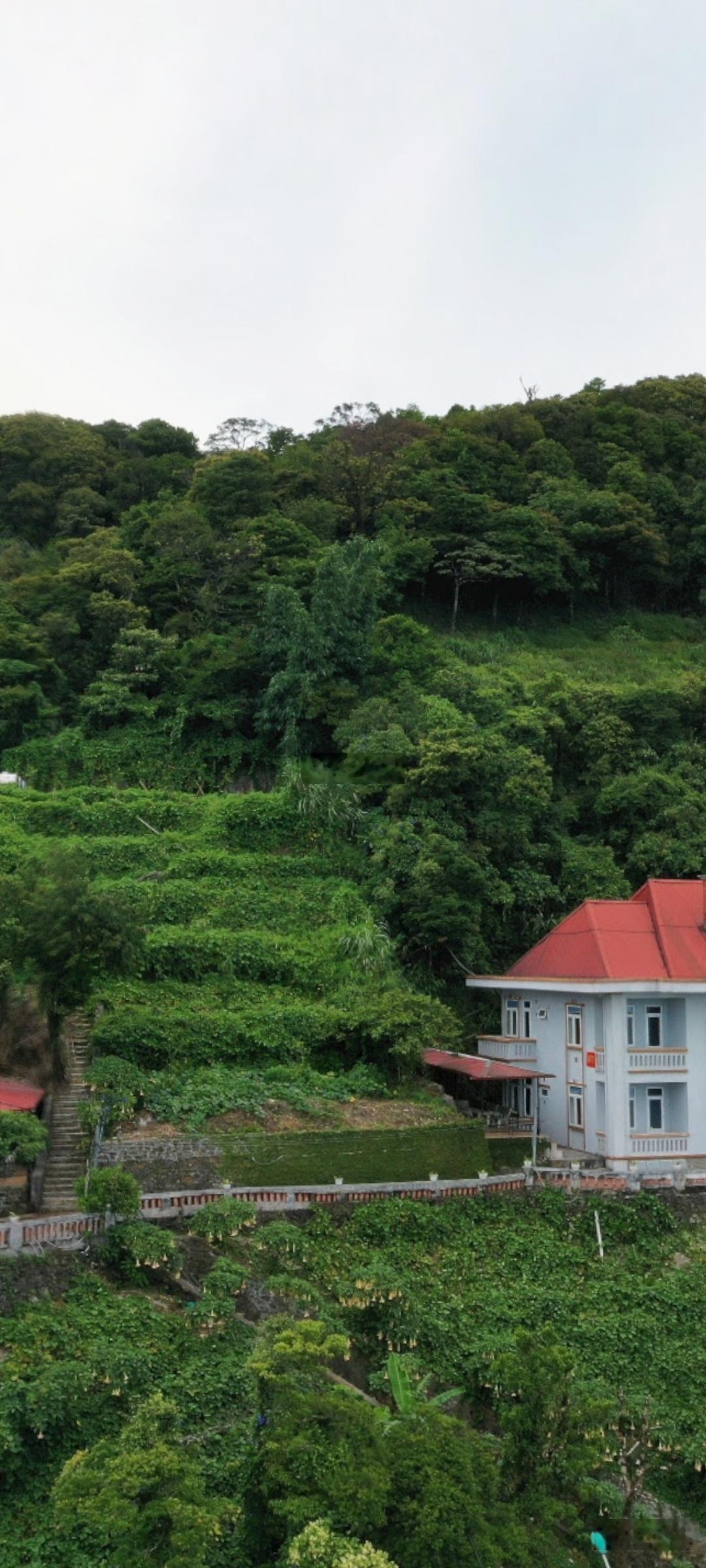 Bán 332m đất kinh doanh đầu tư khu du lịch Tam Đảo, Vĩnh Phúc, Sổ lâu dài, View quảng trường