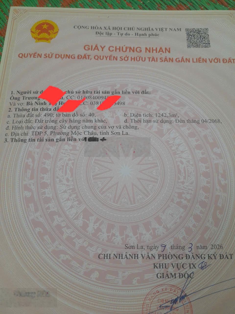 Đất trung tâm Mộc Châu, cách QL6 200m, gần quảng trường 300m, đường ô tô, xây homestay đẹp