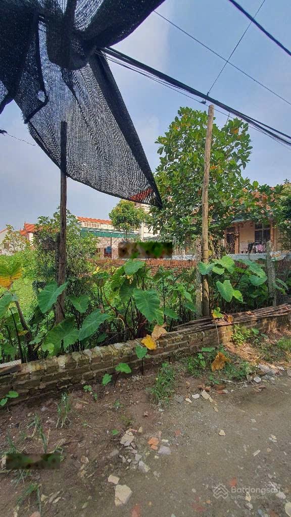Đỉnh nóc: Cát Quế - Trong đê - ô tô vào đất - chỉ 3,65 tỷ có TL (giá bán nhanh - chủ ngộp)