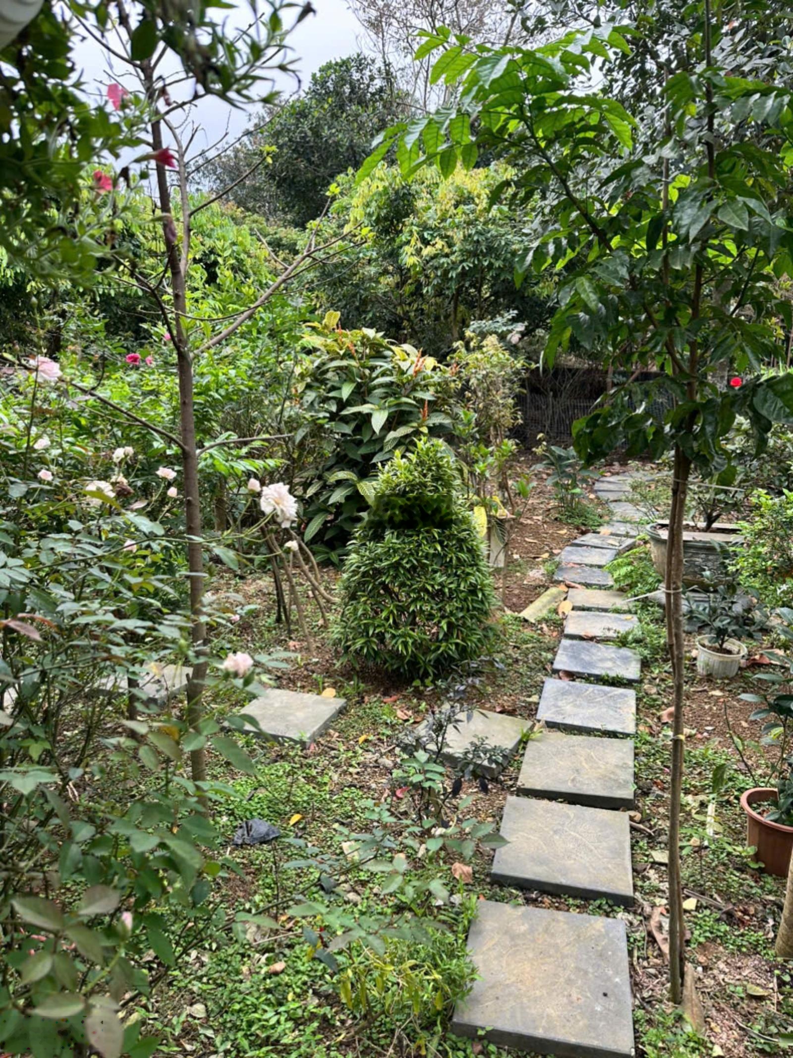 Bán trang trại nghỉ dưỡng tại Chương Mỹ, Hà Nội, 3160m2. Giá 2 triệu/m2. LH ngay 0888914149