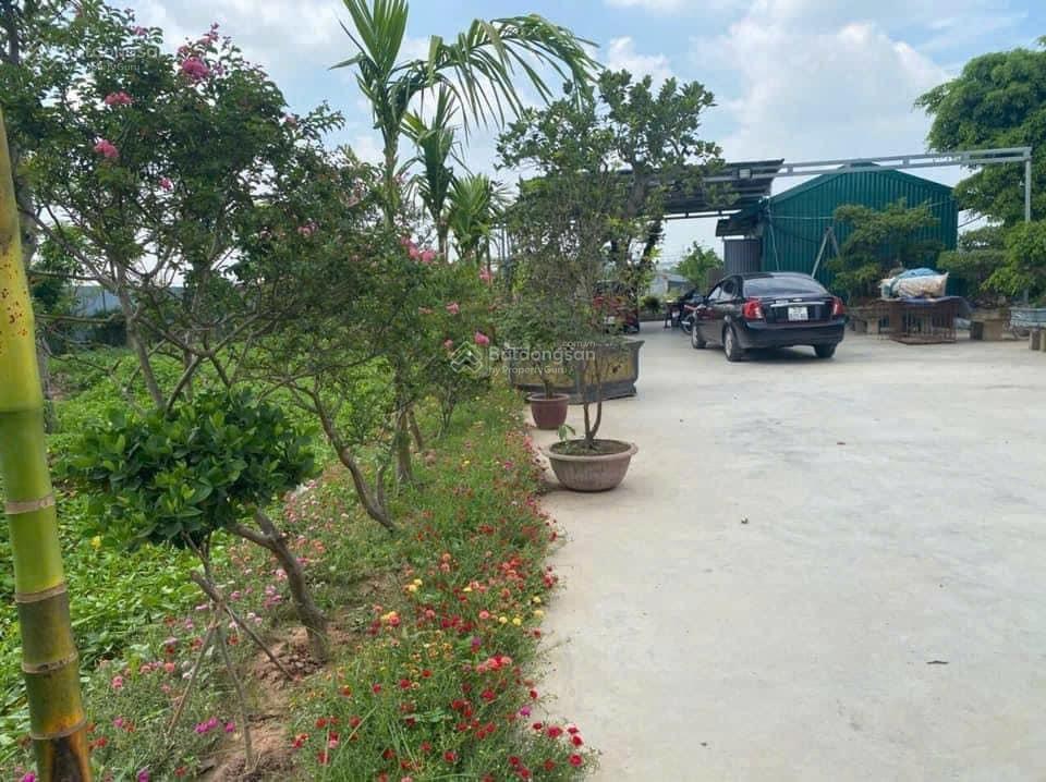 Cho thuê kho xưởng đất Văn Bình Thường Tín, DT 3000m, có 600m nhà xưởng điện 3 pha xe công giá 30tr