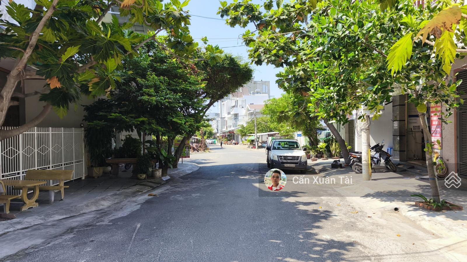 ảnh