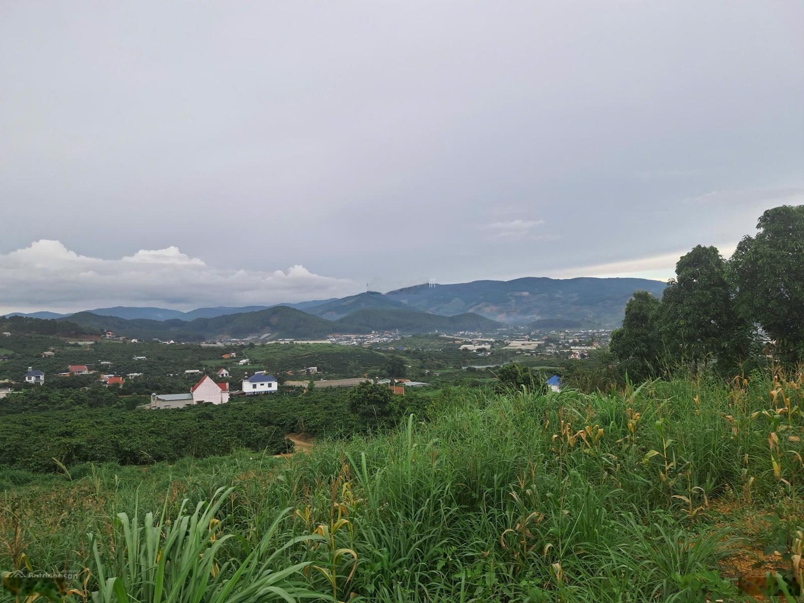 Siêu phẩm đất view đẹp ven đà lạt giá chỉ hơn 1 tỷ