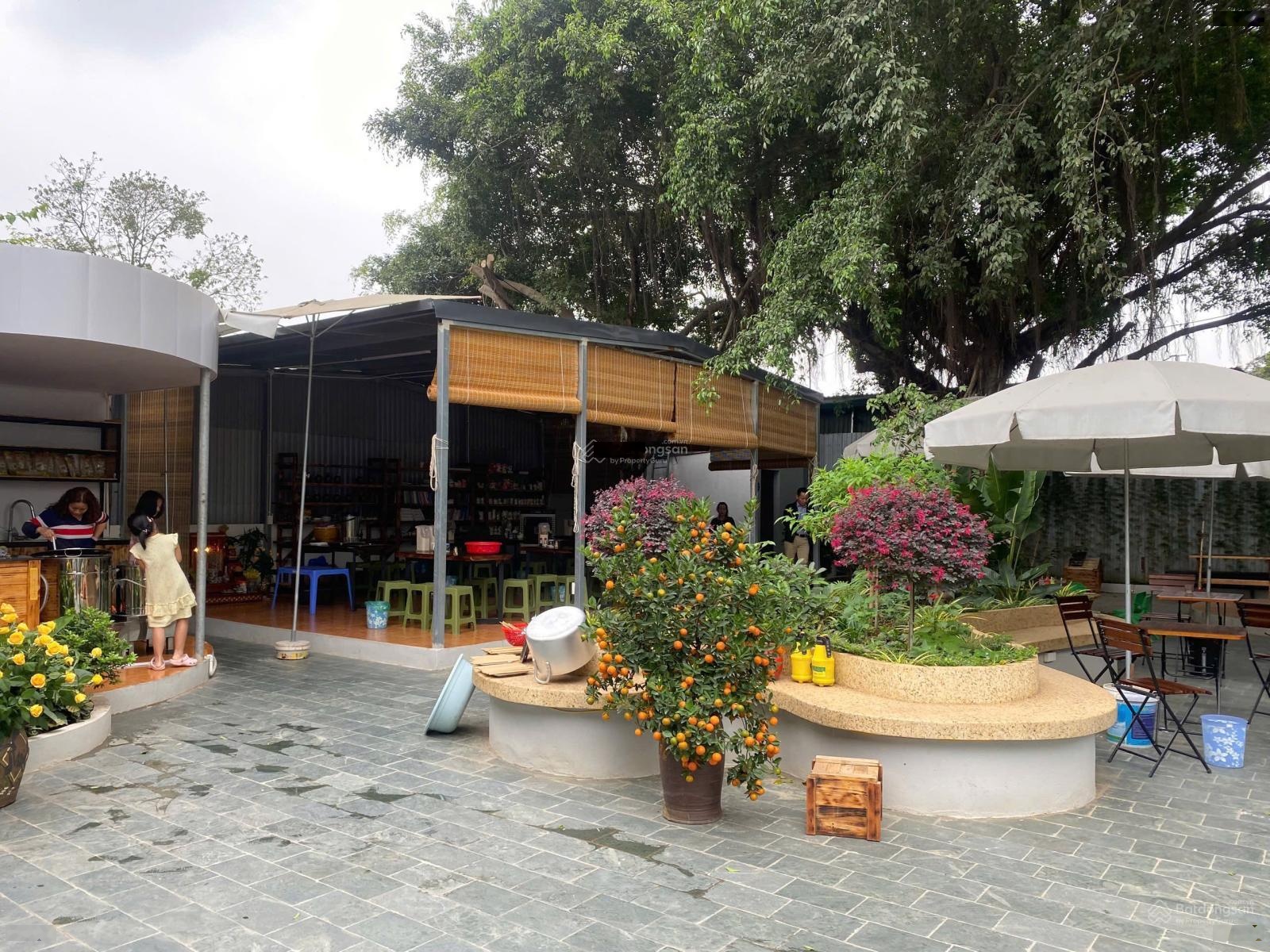 Mặt phố Trần Điền, Định Công, diện tích 400m2, MT15m, cafe sân vườn, bia phủi, showroom