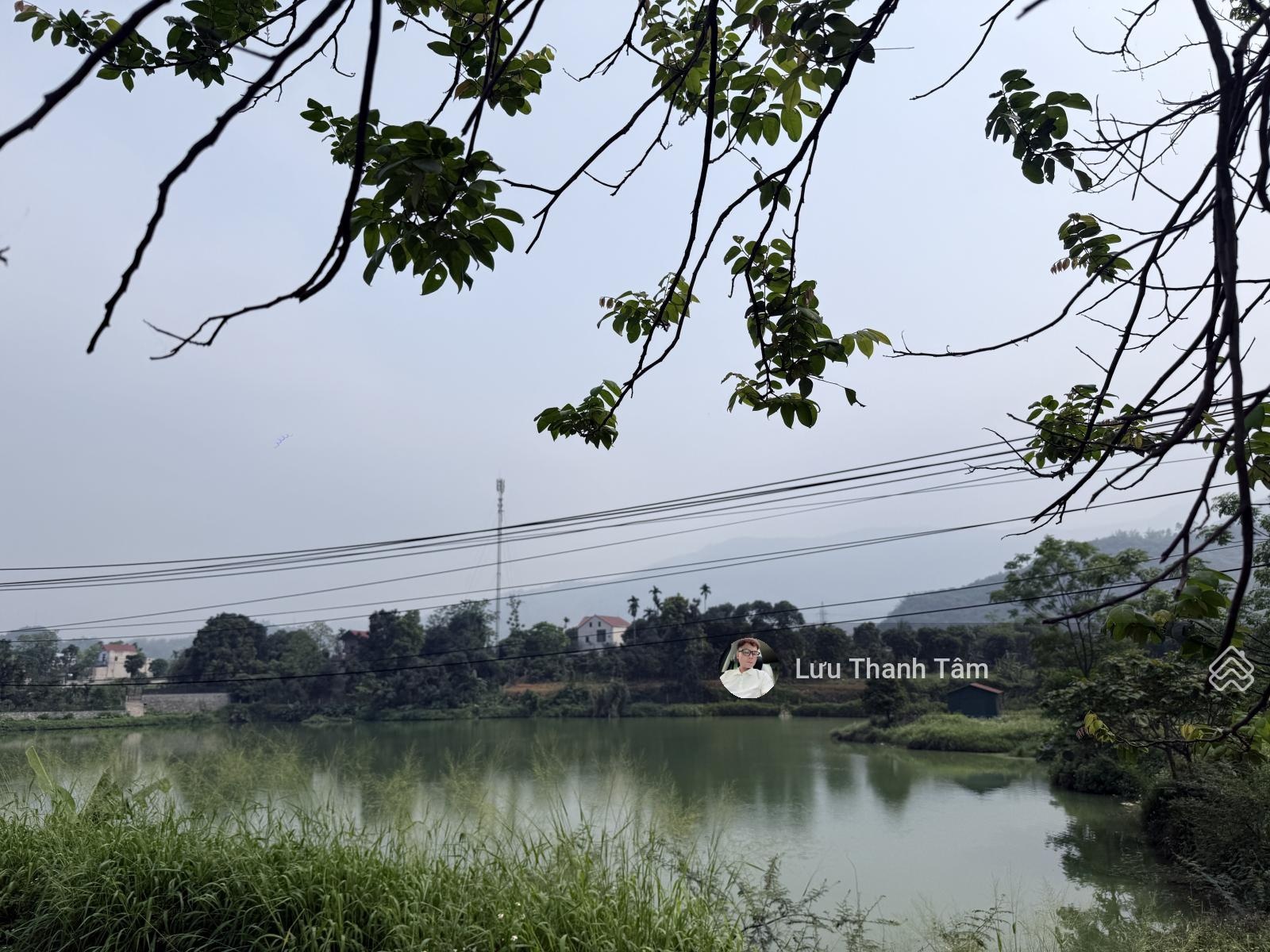 ảnh