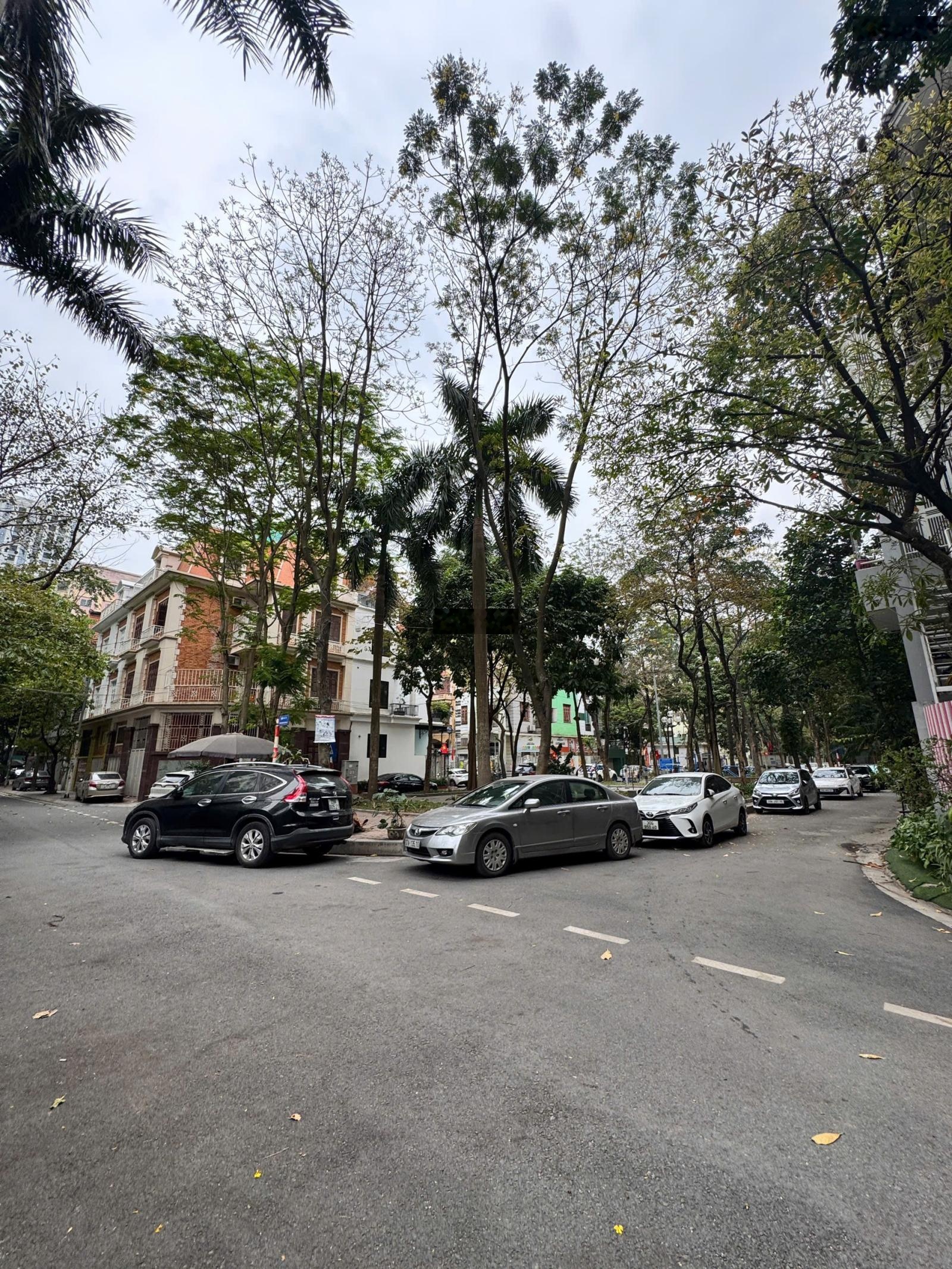 Chính chủ bán: 111,8m2 - mặt tiền 11,18m - Biệt thự Mỹ Đình - Vị trí ô tô tránh dừng đỗ 24/24