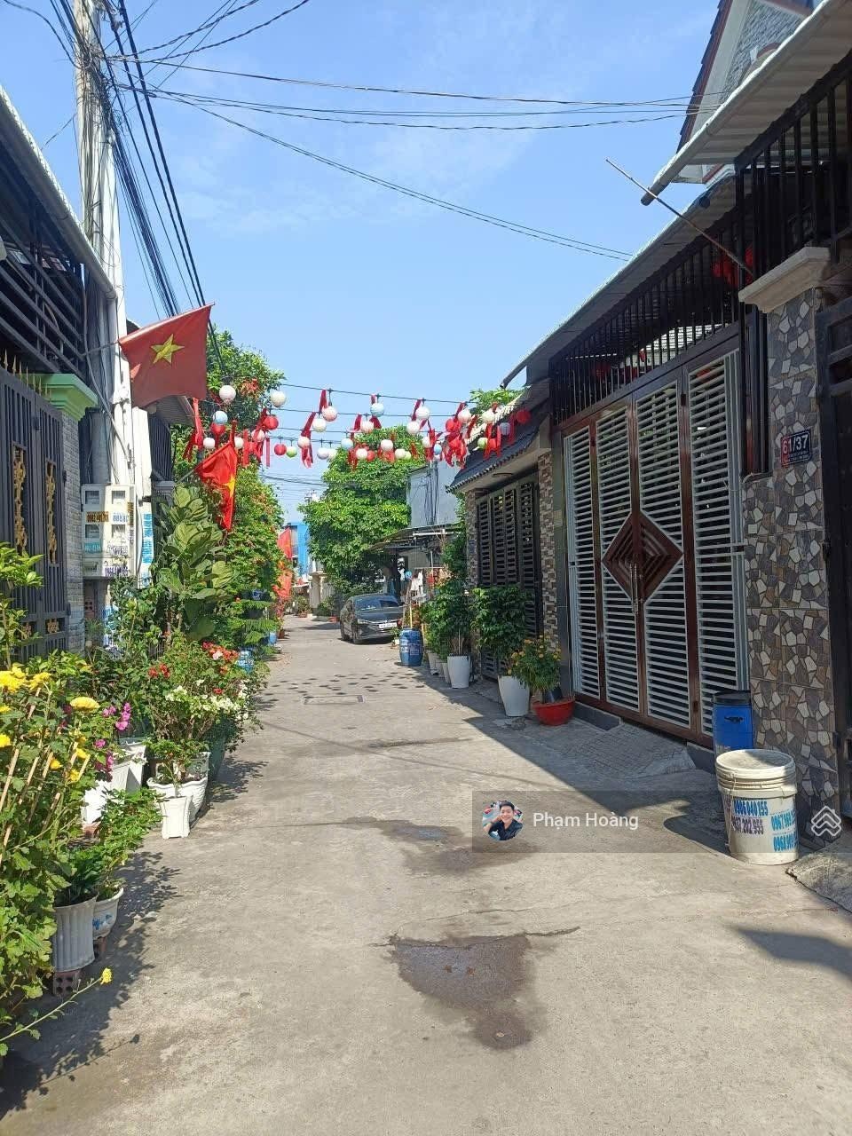 ảnh