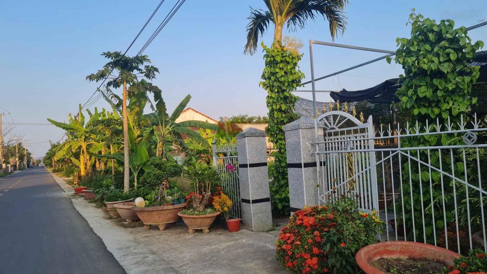 Đất ninh thọ - đường nhựa, mặt tiền 8m, trục chính ra biển dốc lết.