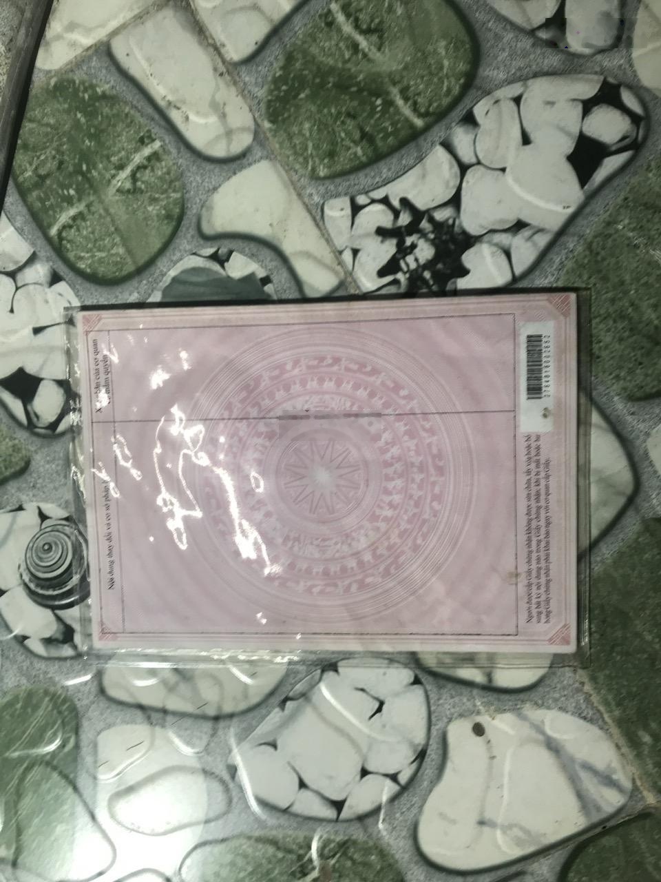 ảnh