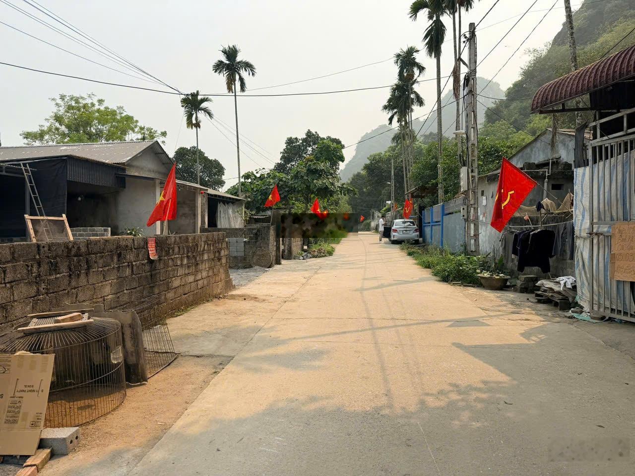 ảnh