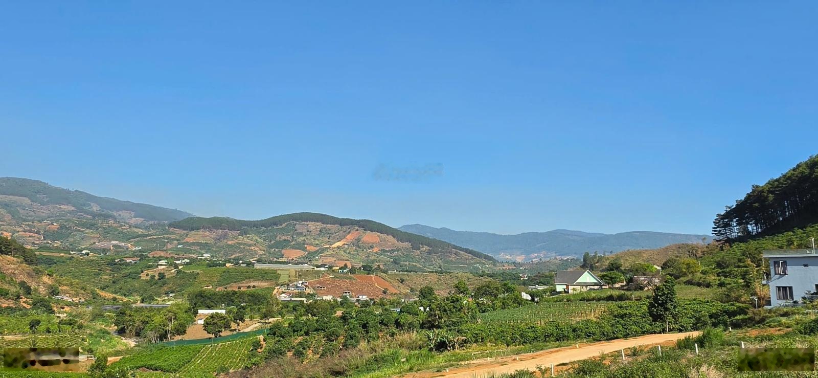 Chỉ triệu sở hữu đất đồi thông view suối cam ly sát cạnh đà lạt