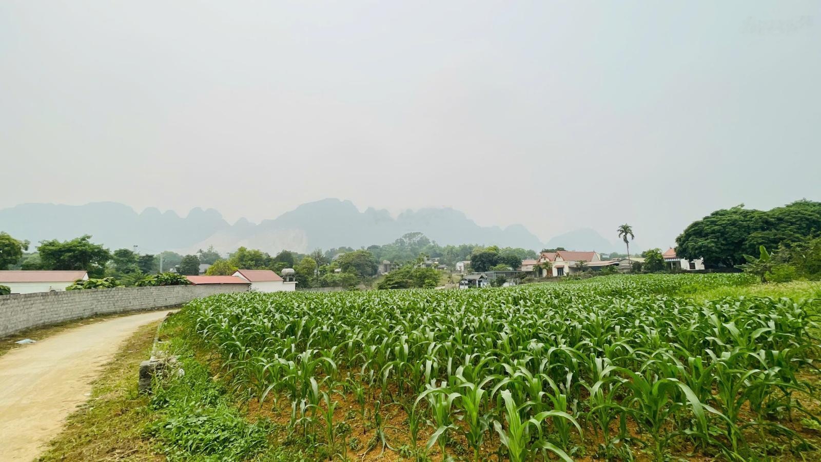 Lô Góc gần 200m Mặt Tiền, View Hồ trước mặt