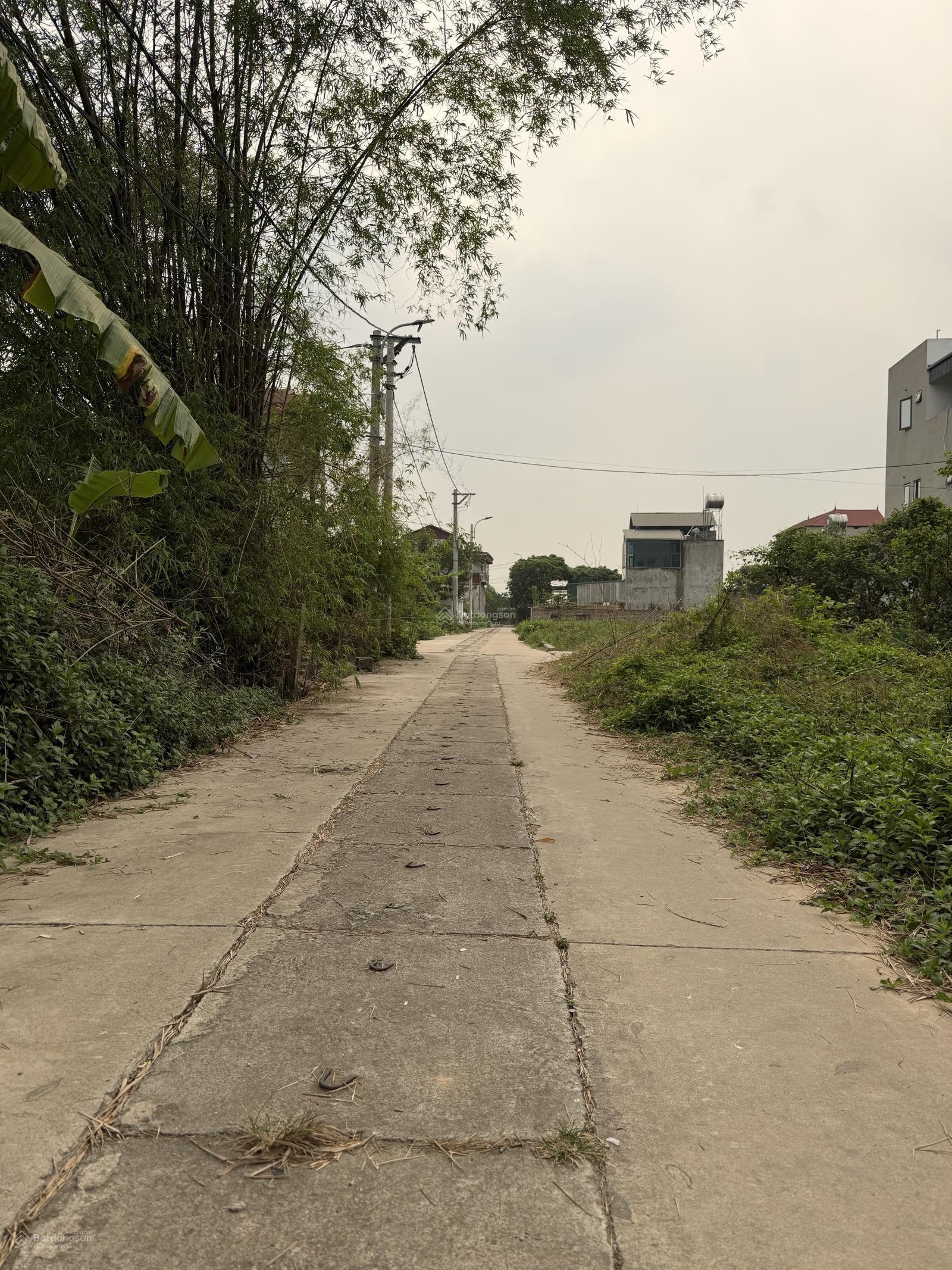 Bán 61m2 đất Quang Minh Mê Linh đường thông ô tô đỗ cửa 3.55 tỉ