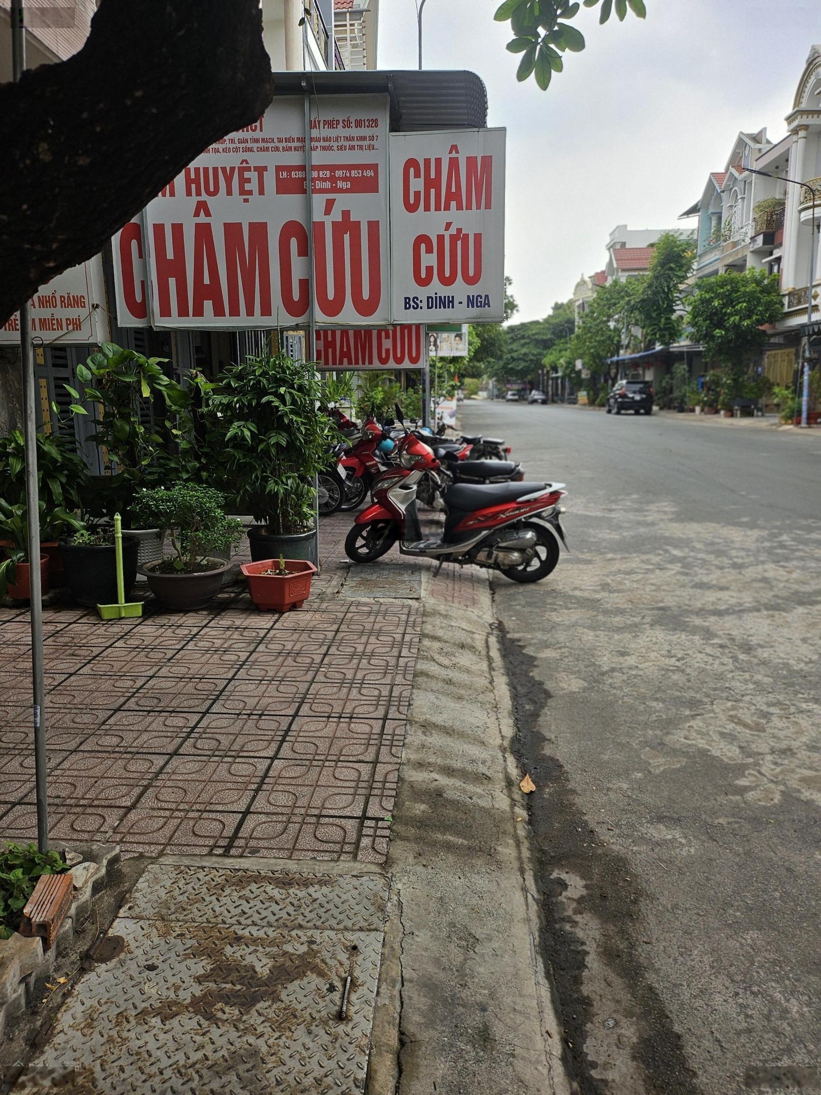 ảnh
