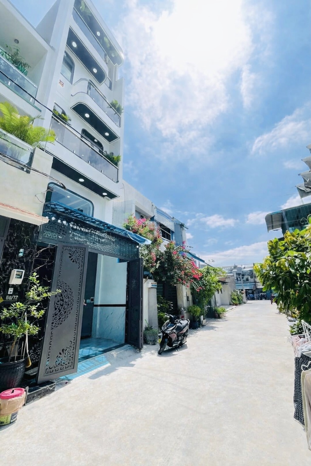ảnh
