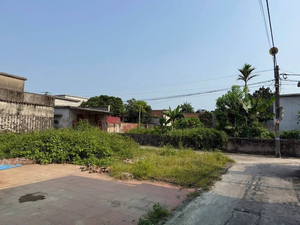 Bán đất Trần Lãm, Thái Bình, 67.5m2, mặt tiền 5.5m, ô tô thông