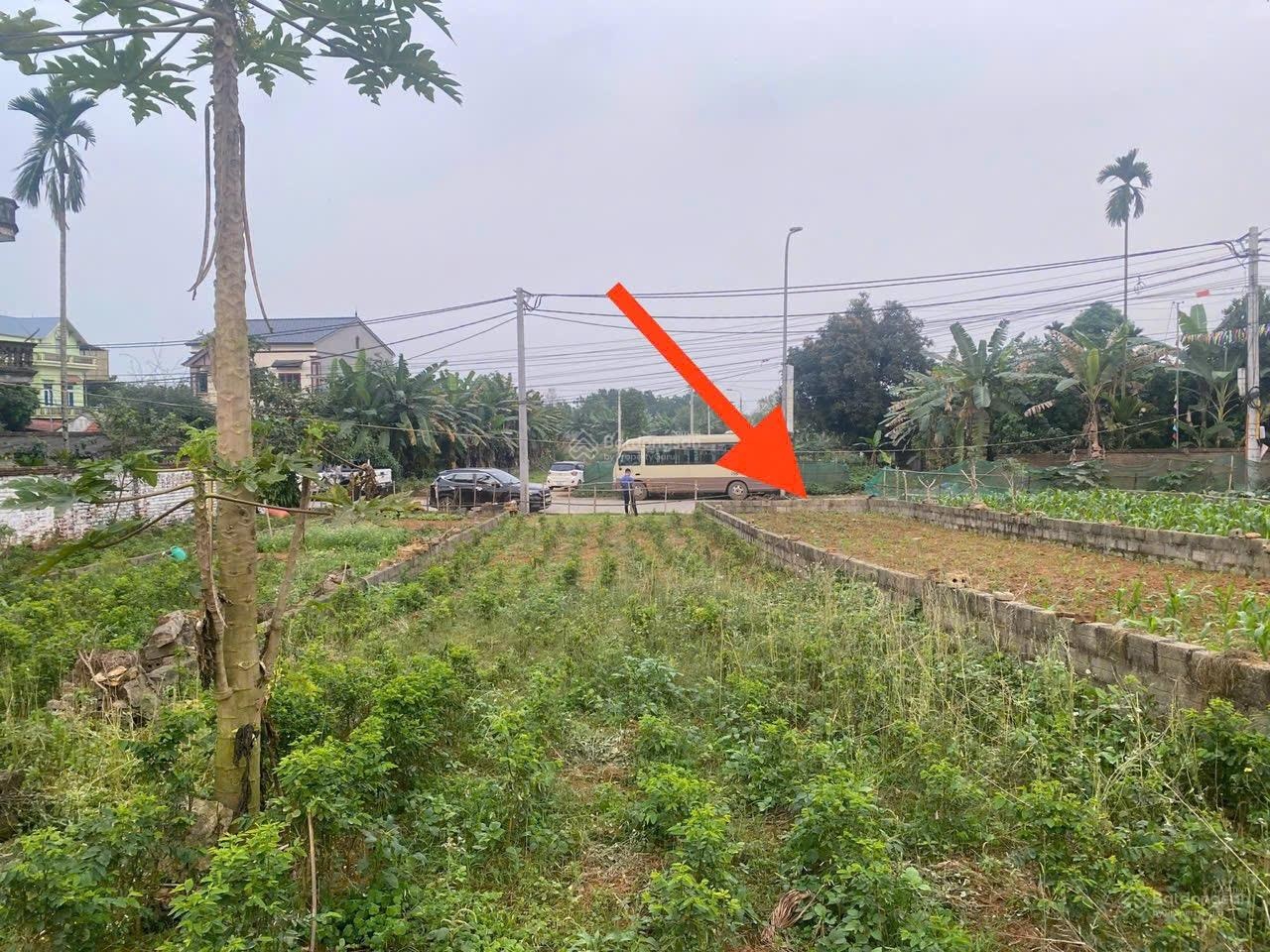 Anh trai em làm ăn kinh doanh đầu năm thua lỗ nhờ em đăng bán 204m2 bám trục chính đường liên xã