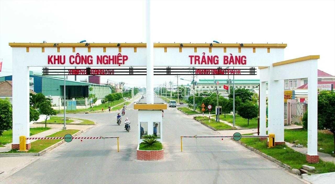 ảnh