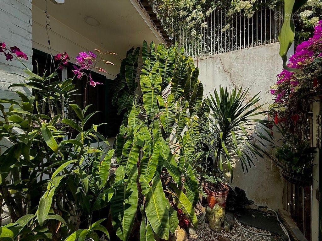 Biệt thự Đà Lạt giữa lòng Quận 7, sân vườn rộng, 252m2 - hàng hiếm, chỉ 43 tỷ