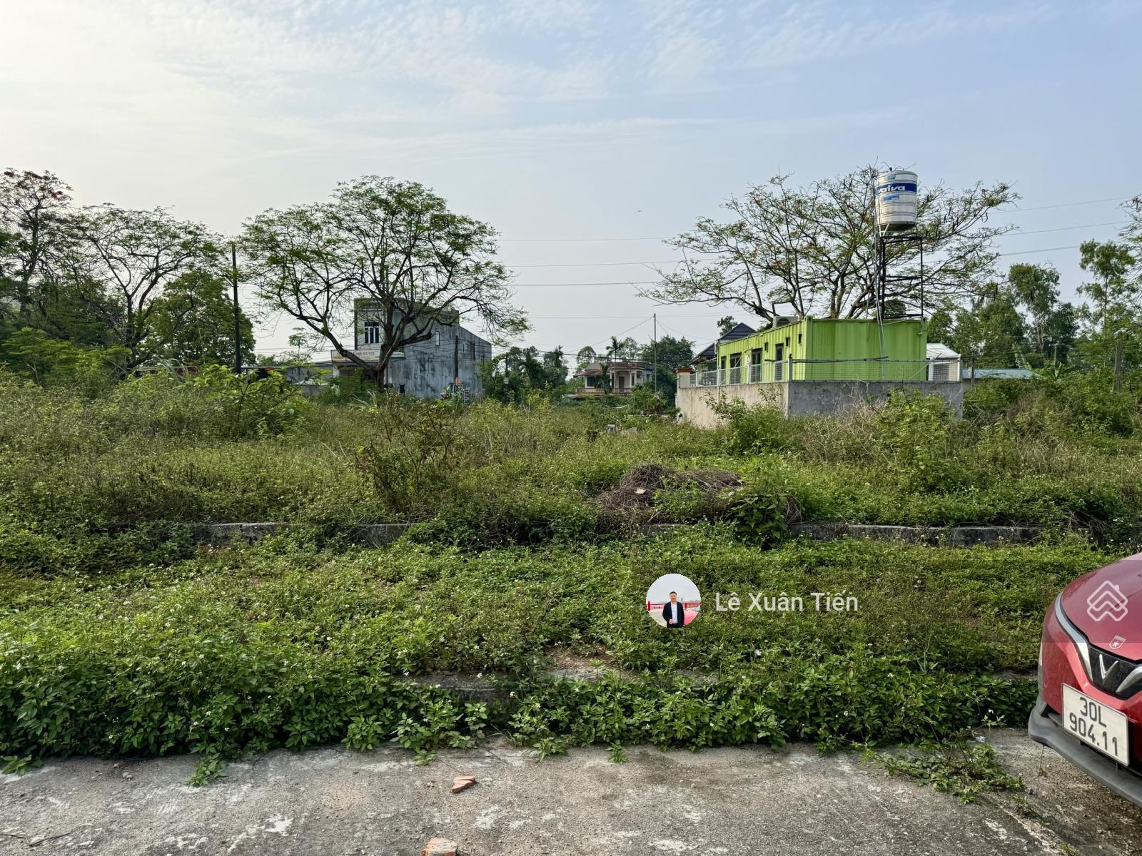 ảnh