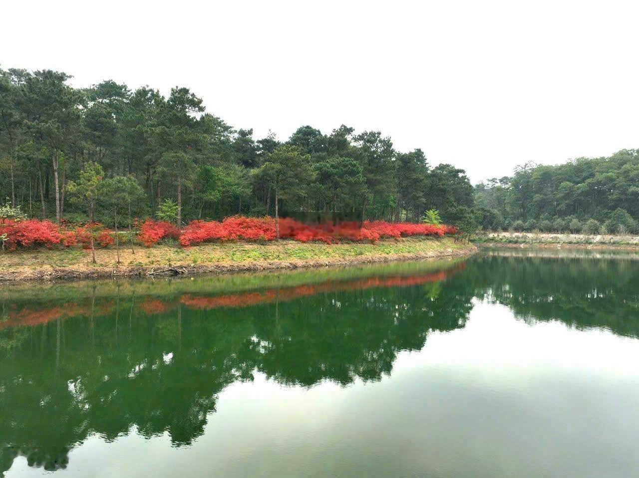 Bán Cắt Lỗ căn biệt thự song lập 211m2, xây 3 tầng phân khu Valley Park, giá tốt nhất thị trường !