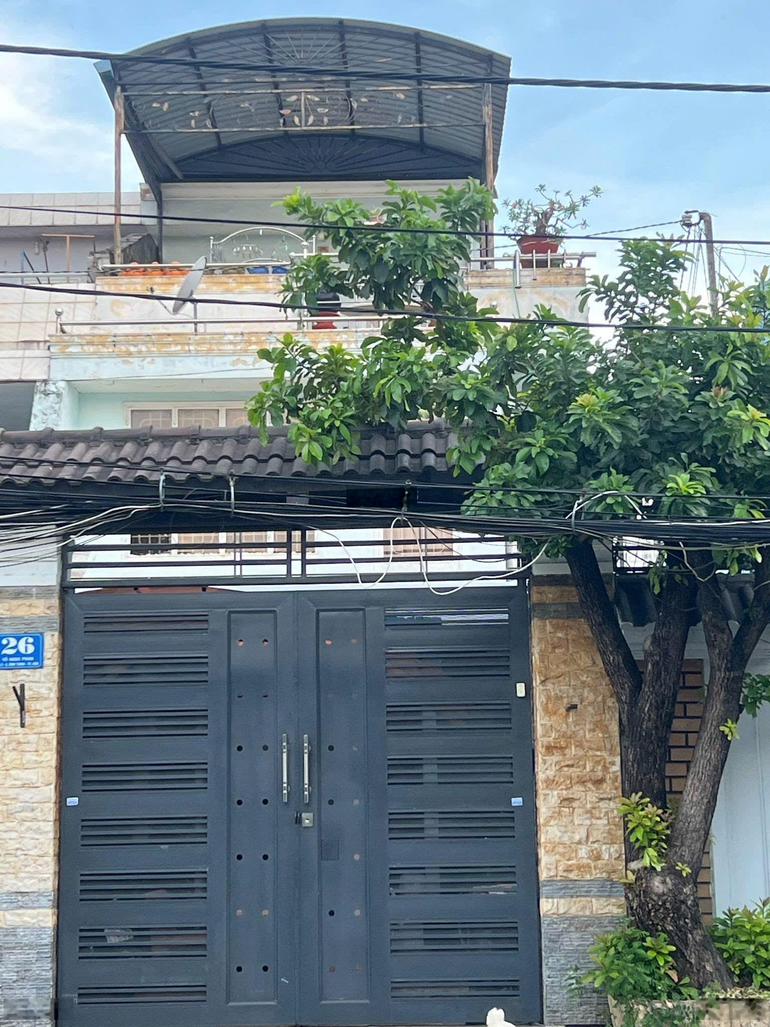 ảnh