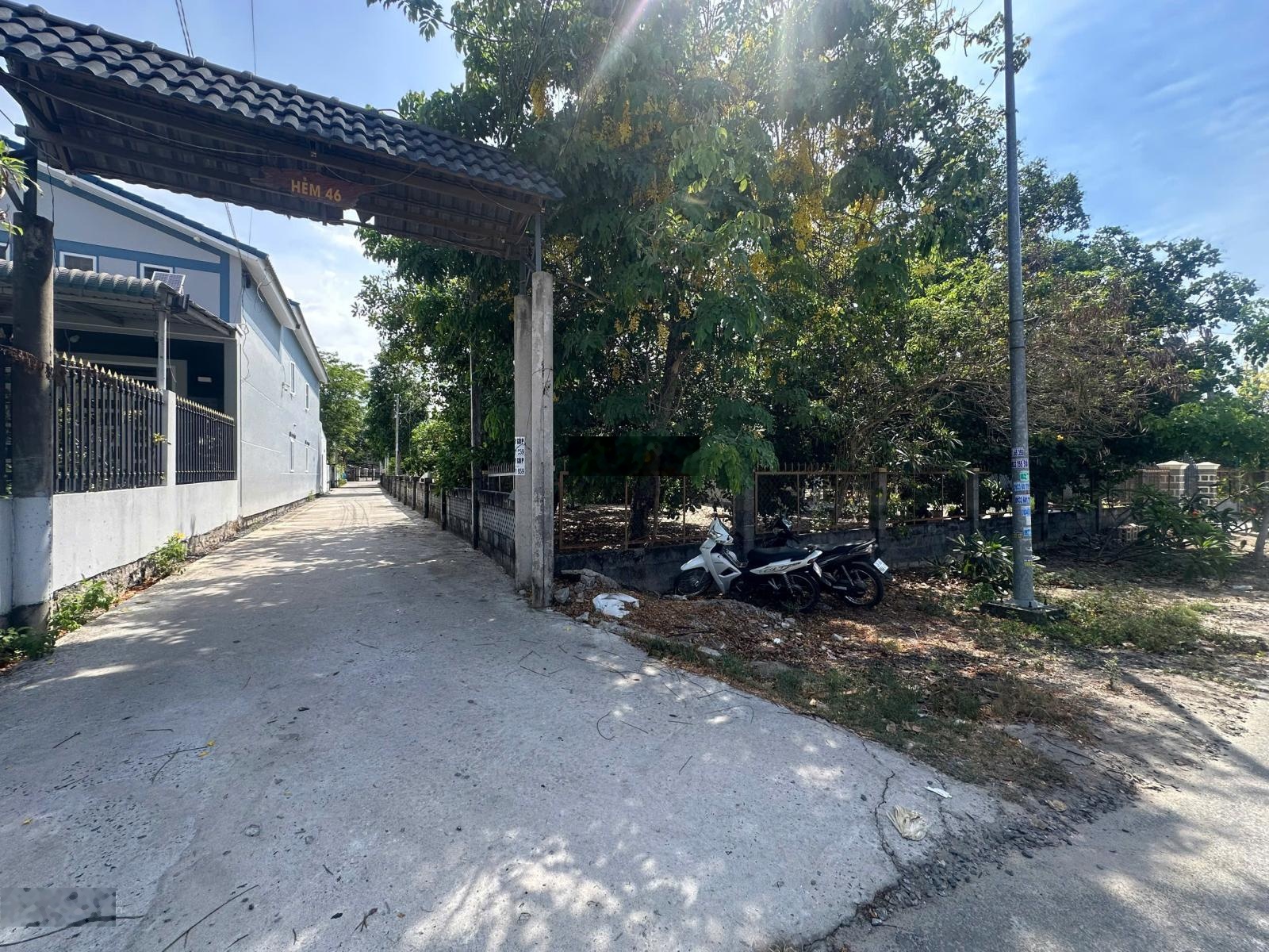 ảnh