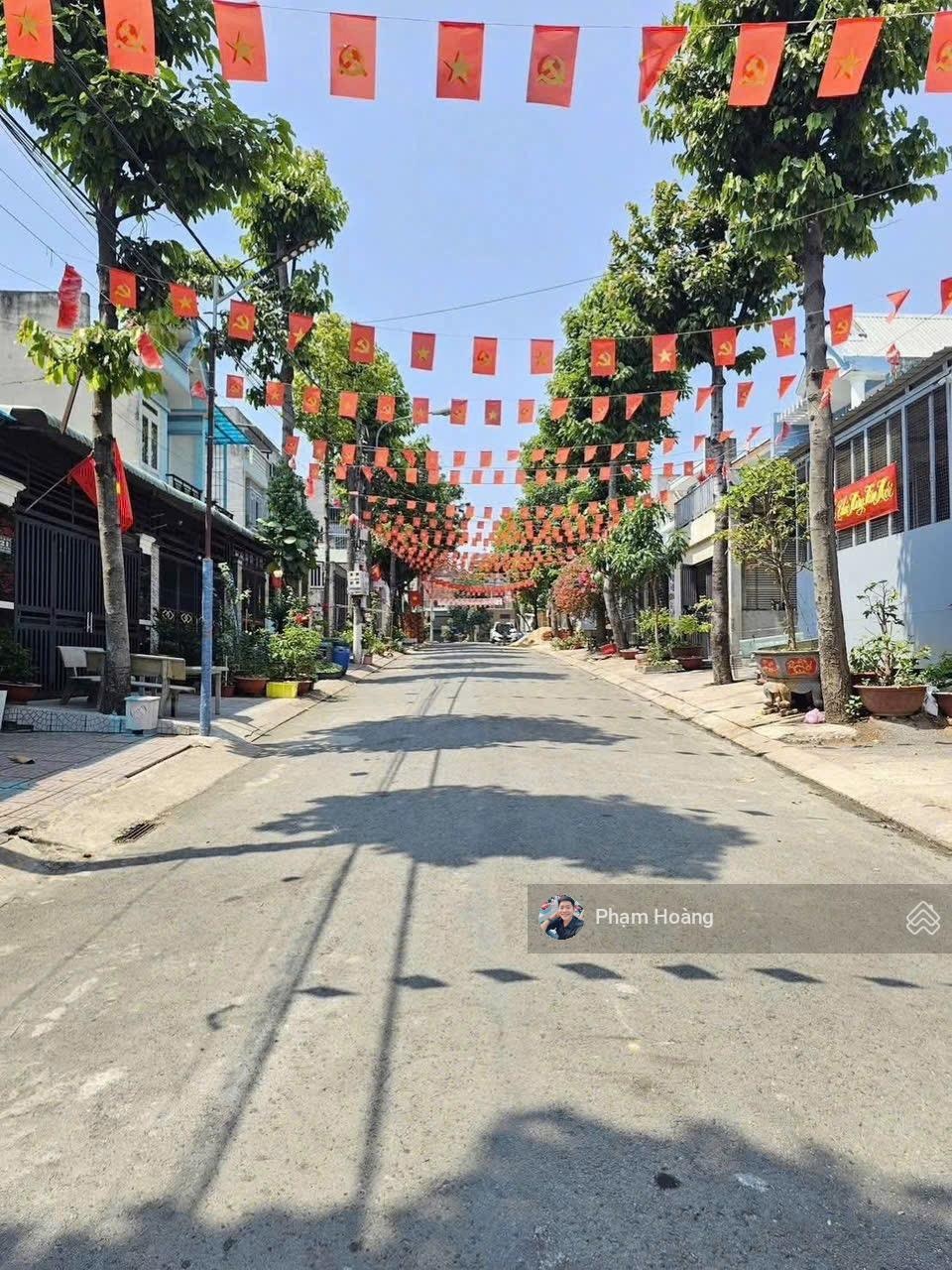 ảnh