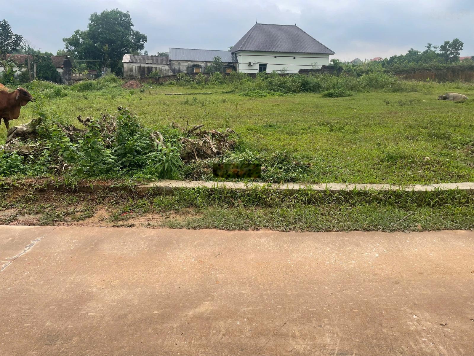 Chính chủ bán lô đất xuống tiền là đẻ ra tiền cho nhà đầu tư thông thái địa chỉ: thôn đ