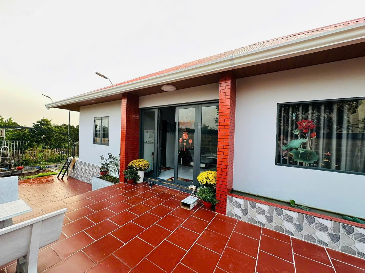 Cần bán vườn mít ruột đỏ và 1 số cây ăn trái + nhà vila, Kinh 25, Mỹ An 3, Xã Tháp Mười, Đồng Tháp