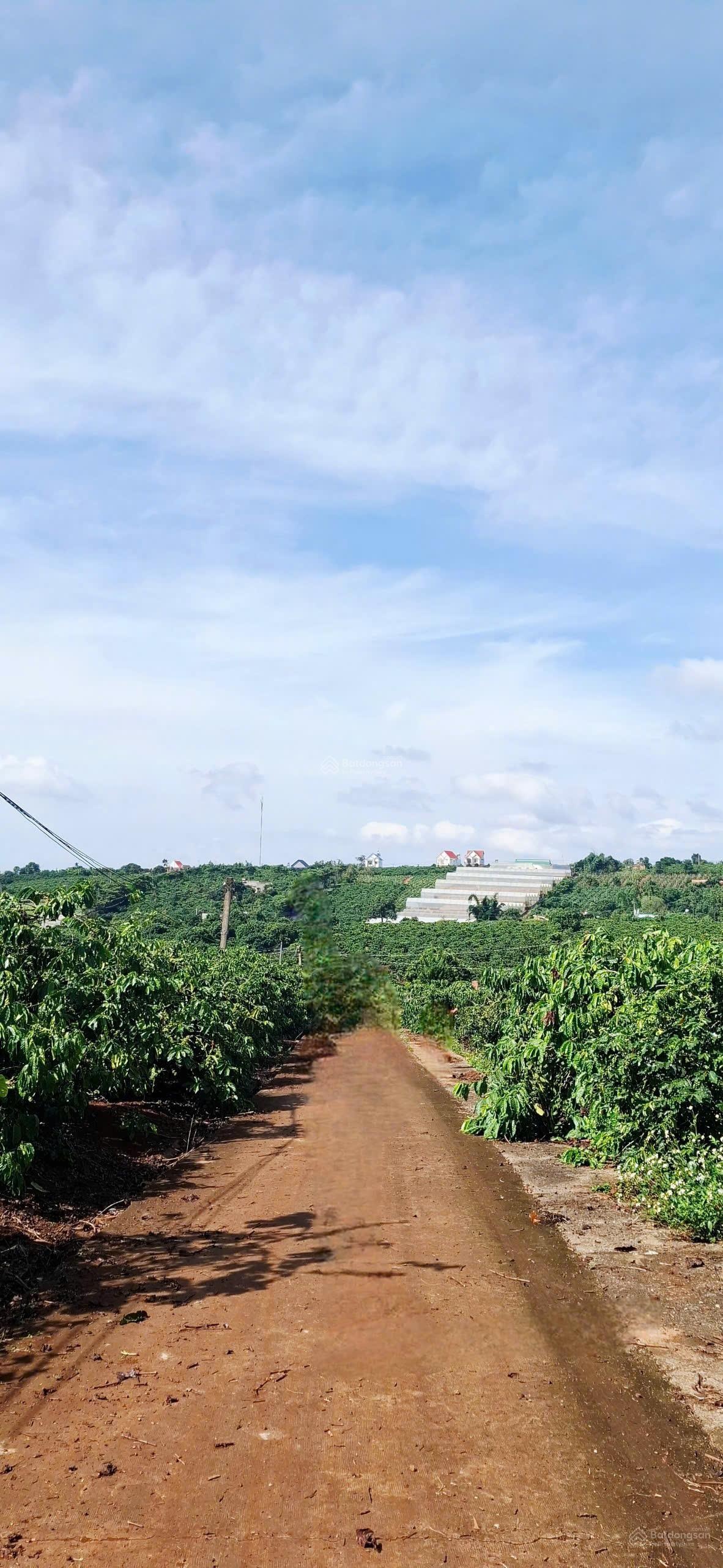 Mình chính chủ muốn bán đất có sẵn 200m2 thổ cư tại xã Mê Linh