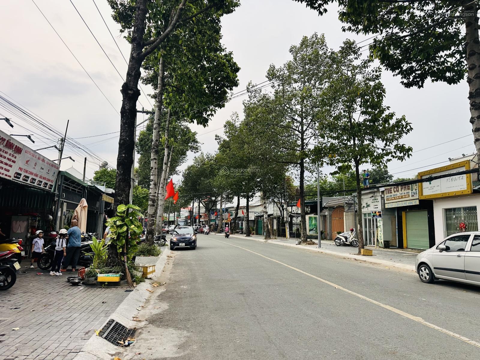 ảnh