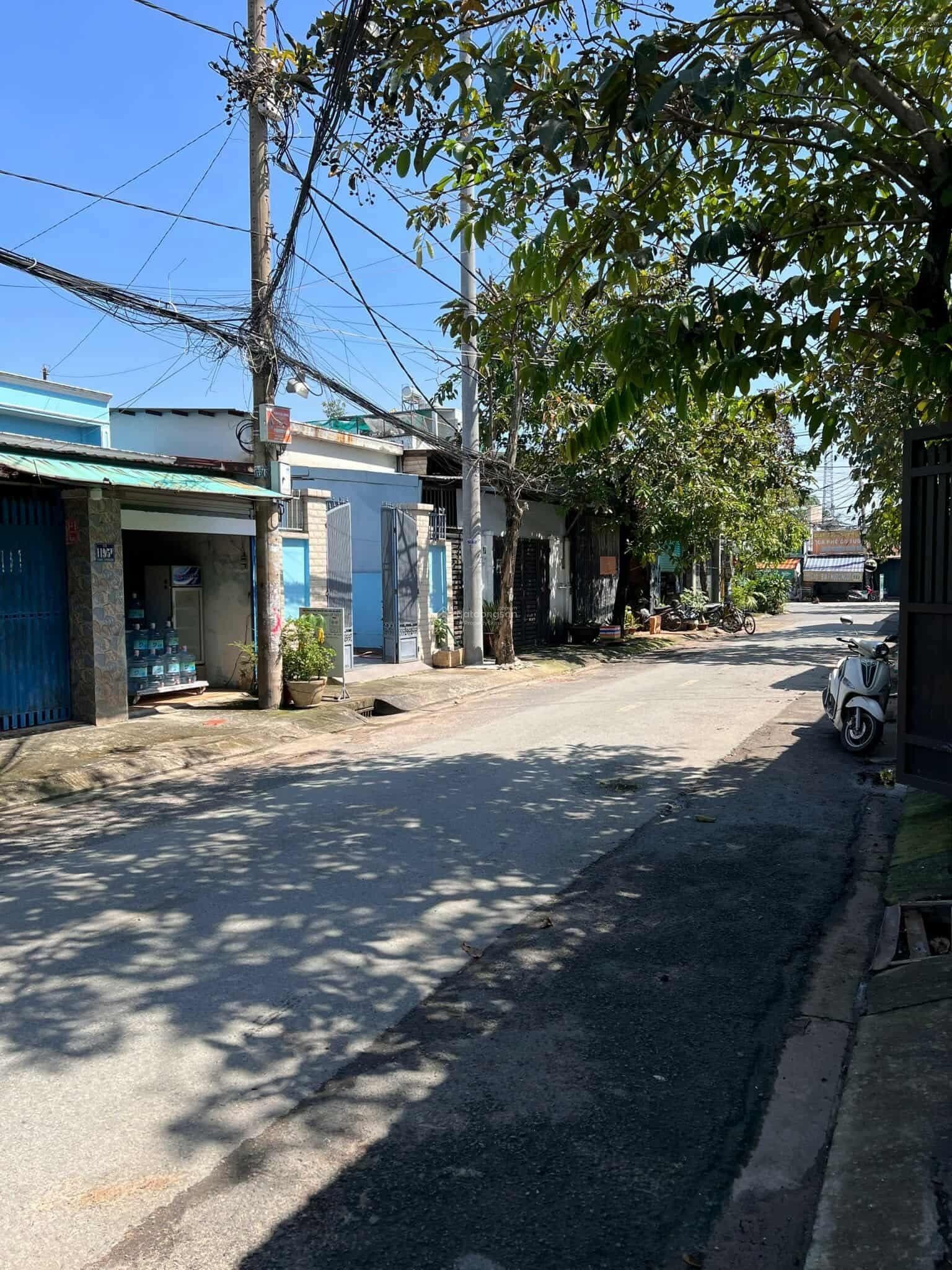 ảnh