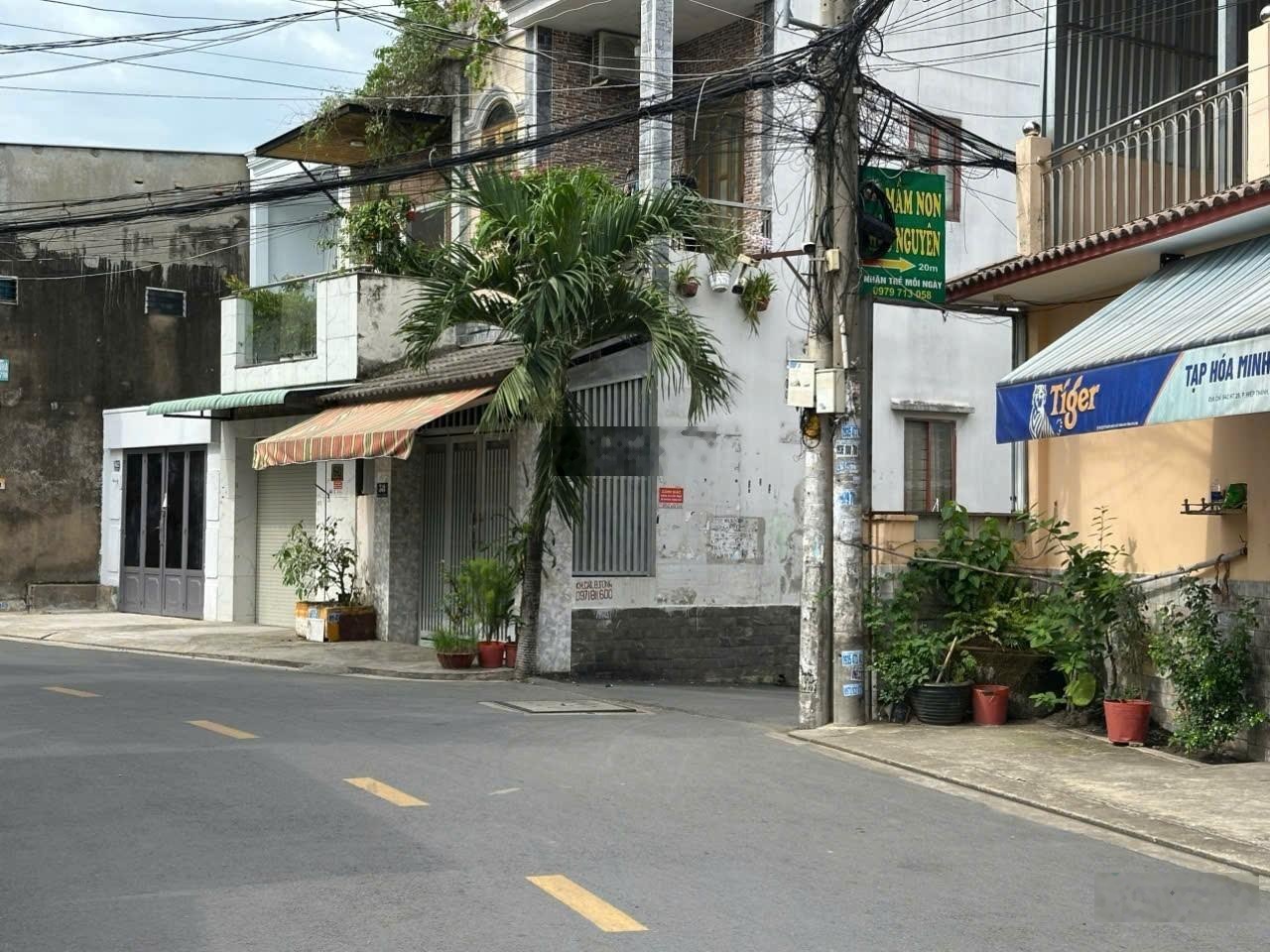 ảnh