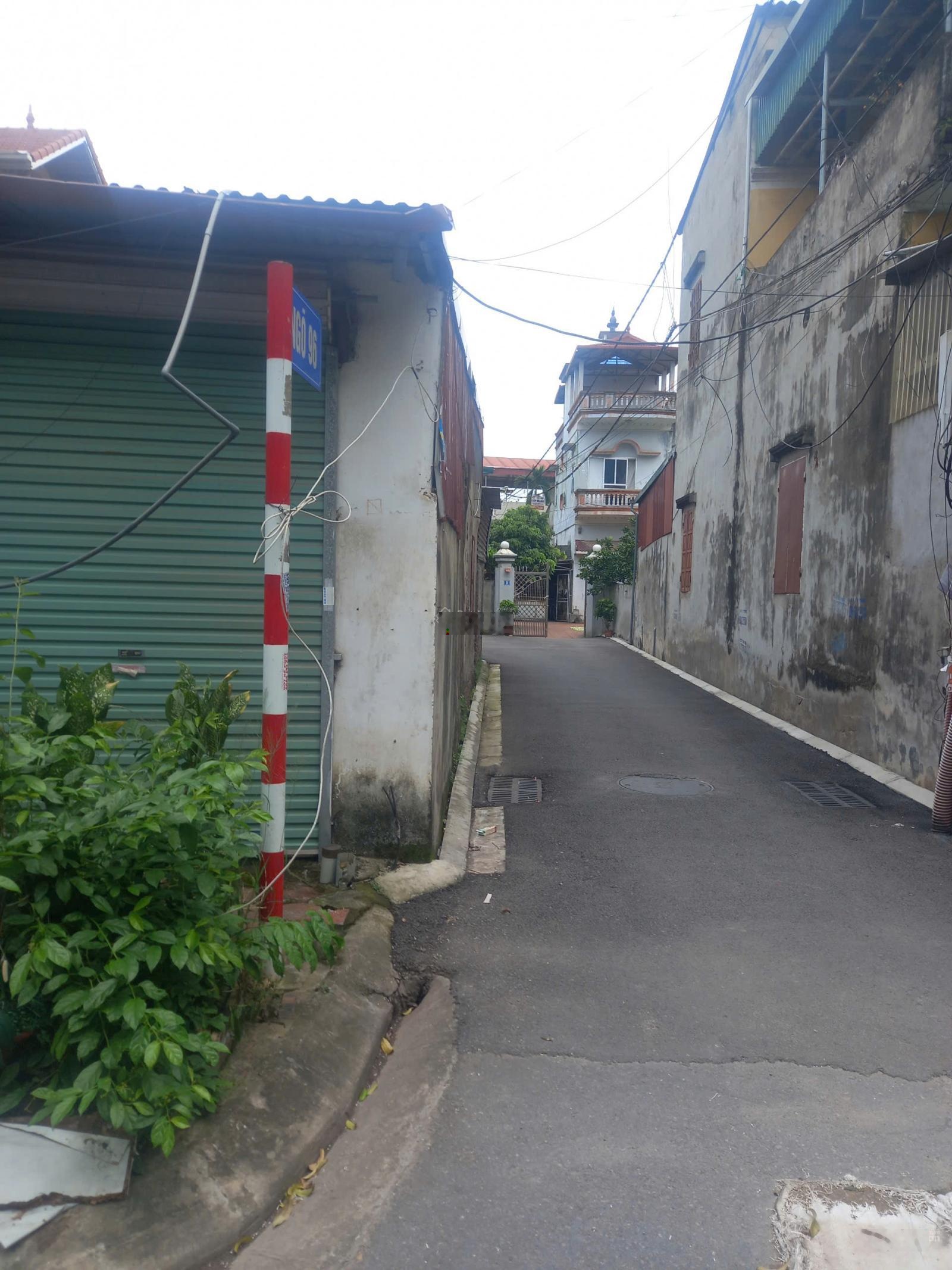 Cho thuê nhà khu B Viện rau Trâu Quỳ