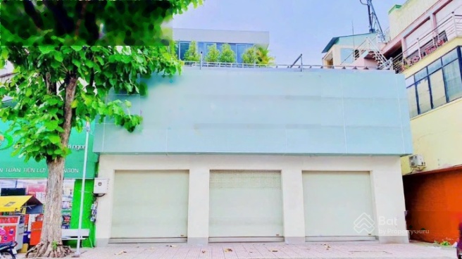 ảnh