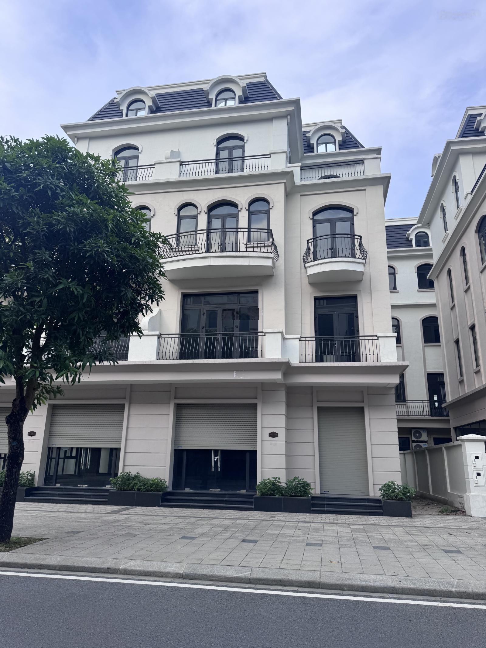Biệt thự thương mại kế gần vincom , dòng người, dòng tiền, giá trũng , mặt tiền 10m