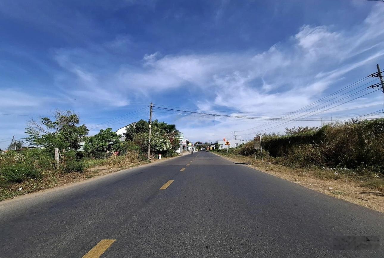Chính chủ bán 2246m2 đã có 347m2 thổ cư, mặt tiền đường, Hải Thượng Lãn Ông, Hàm Thuận Bắc