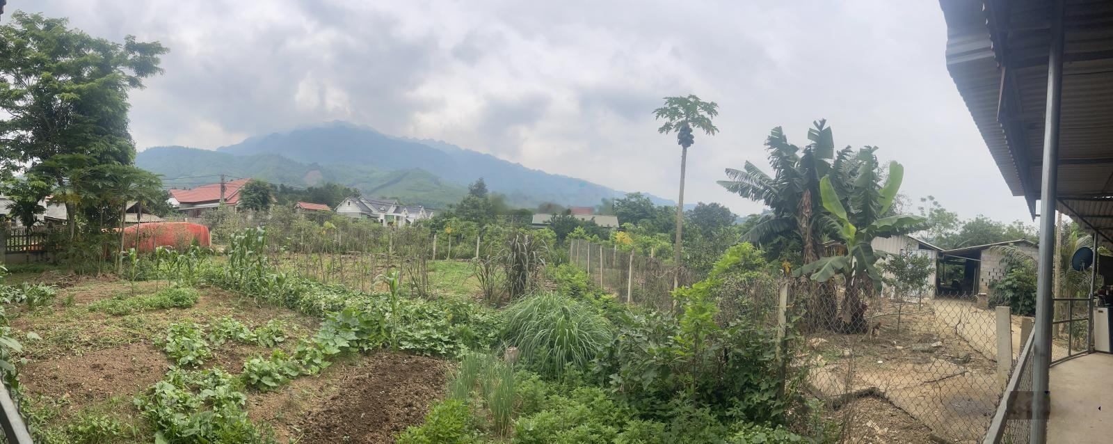 Bán Đất đô thị tại Mạo Khê, Quảng Ninh, 25 triệu / m2, 6032 m2, view đẹp, giá siêu hời