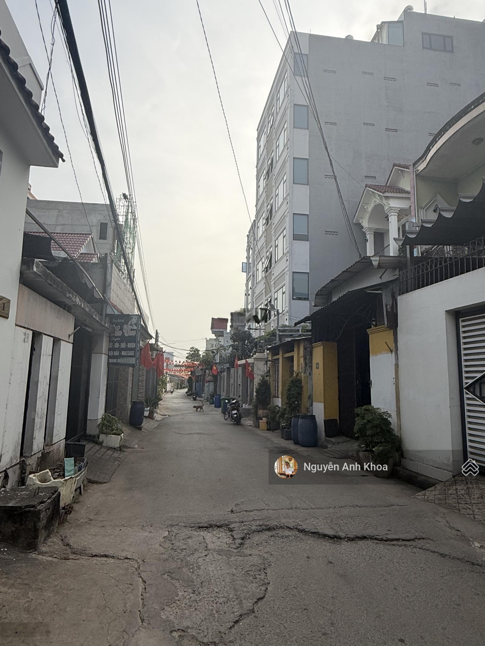 ảnh