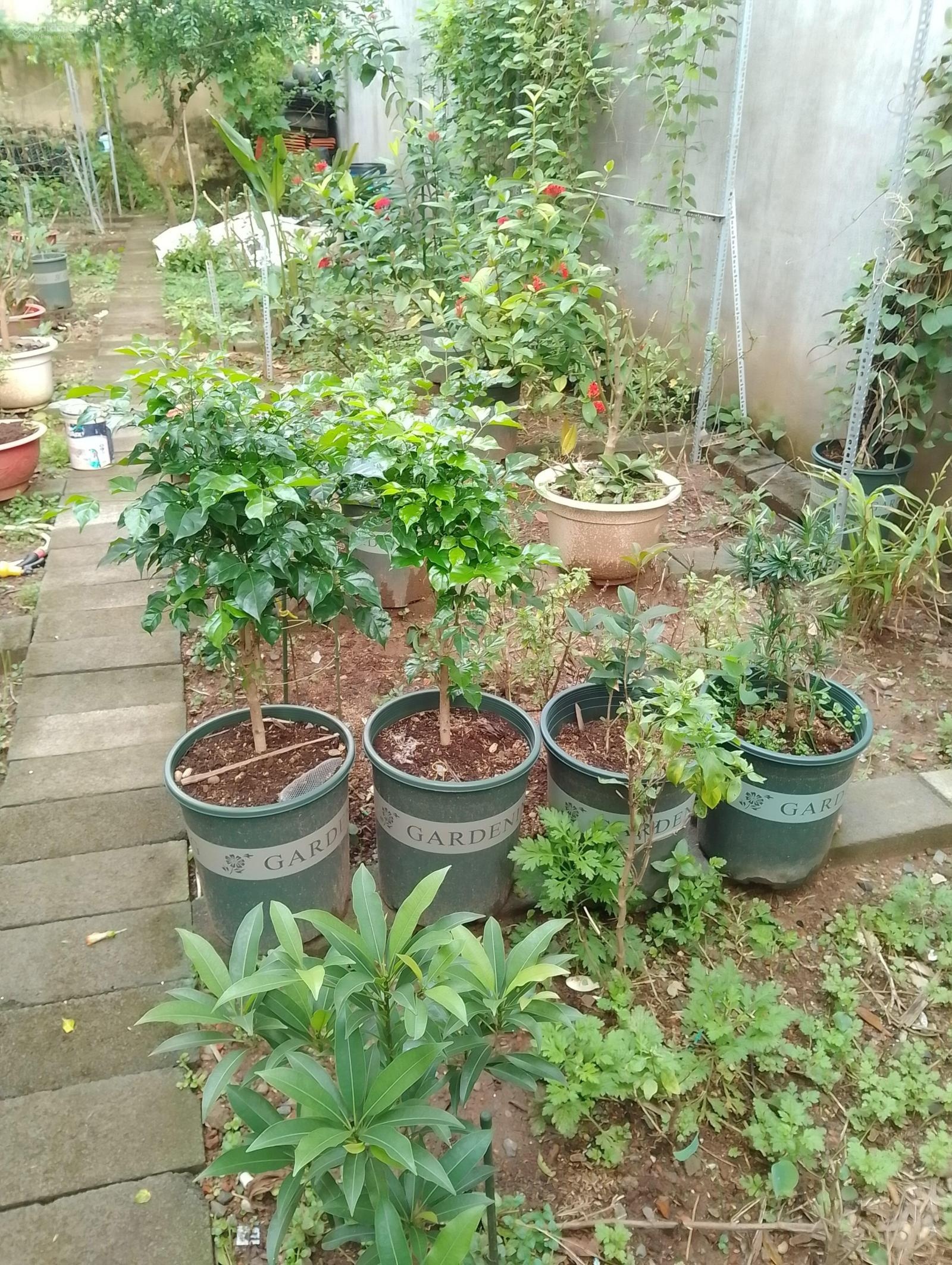 Bán Đất 60, D3, Tăng Nhơn Phú, 10 tỷ, 105m2, vuông vức, chính chủ