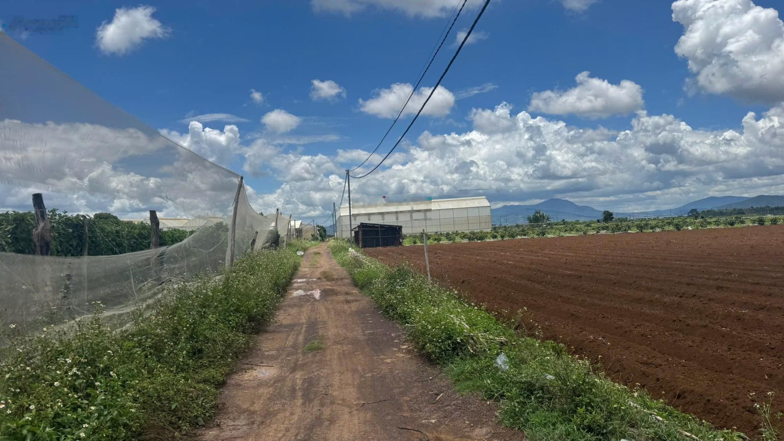 Bán 7500m2 Nhà Kính Công Nghệ Cao Xã Đức TRọng Sãn hệ thống tưới hẹn giờ công Nghệ mới